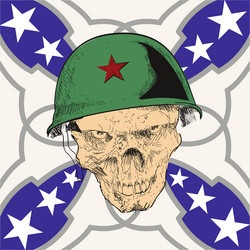 skull vector image