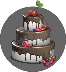 cake with berries and chocolate vector image