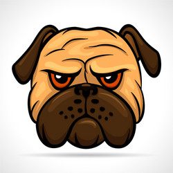 dog head vector image