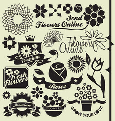 set of flower symbols and icons vector image