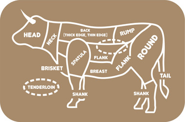 beef cuts chart cow vector image