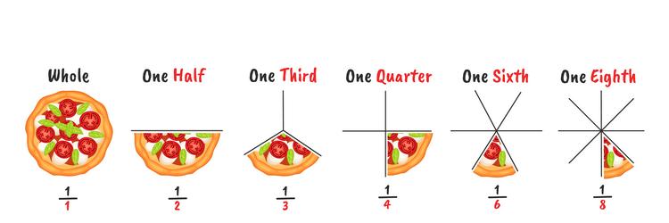 pizza fractions slicing examples visual vector image