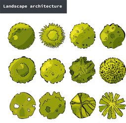 top view set different green treeshand vector image