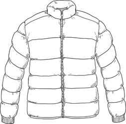 sketch down jacket vector image