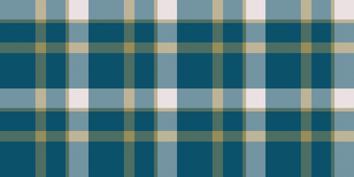 real tartan fabric newborn textile plaid check vector image