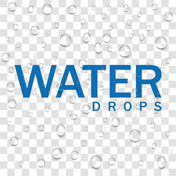 pure clear water drops realistic set isolated vector image