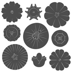 set of black and white images with pumpkins vector image