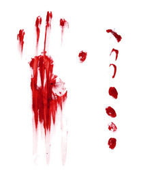 horror blood hand and finger print vector image