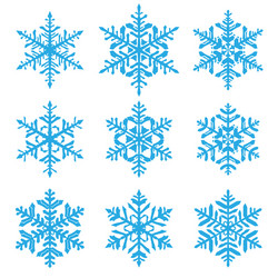 set snowflakes vector image