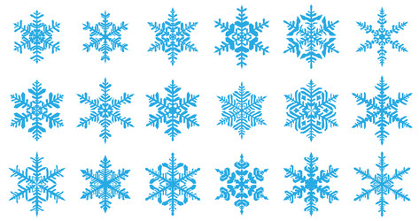 set snowflakes vector image