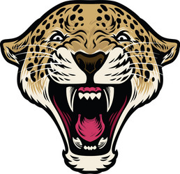 roaring leopard head vector image