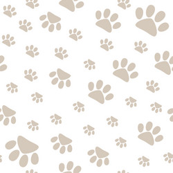 Seamless pattern with pet paws walking vector