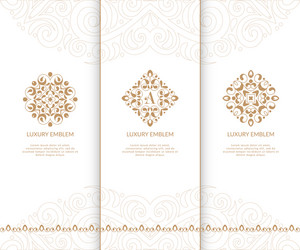 set of golden luxury elements vector image