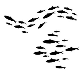 fish school silhouette of group sea fishes vector image