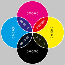 Cmyk wheel with color values 4 parts circle chart vector