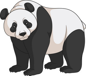 color image of a panda isolated object vector image