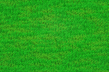 Green lawn realistic grass texture eps 10 vector