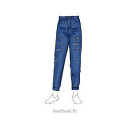 boyfriend fit jeans female denim pants vector image