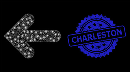 grunge charleston seal and bright net left vector image