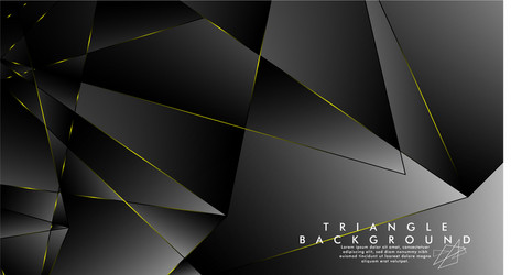 Abstract background of geometric with luxurious vector