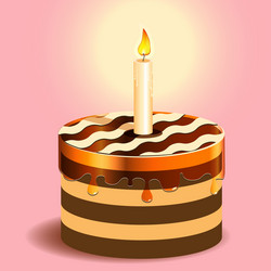 birthday cake vector image