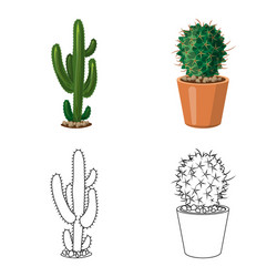 Isolated object of cactus and pot icon collection vector