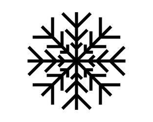 snow flake on white vector image