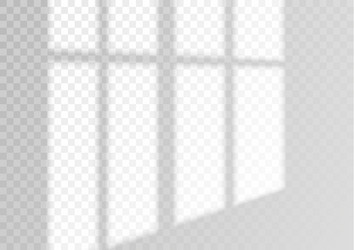 transparent overlay window and blinds shadow vector image