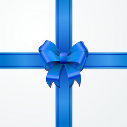 bright blue bow-knot with tape on white vector image