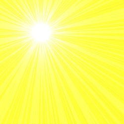 bright sun rays vector image