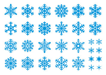 snowflakes vector image