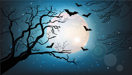 tree branches silhouette and bats flying at night vector image