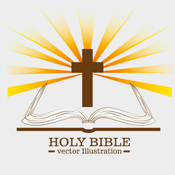 holy bible book vector image