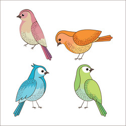 group of cute birds drawn vector image