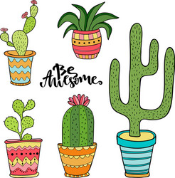 succulent and cactus set cartoon plants in pots vector image