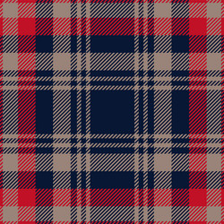 red blue beige tartan plaid pattern vector image