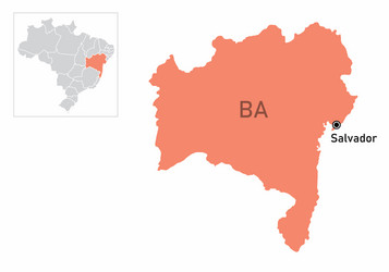 bahia state map vector image