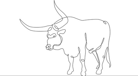 continuous line drawing bull cow vector image