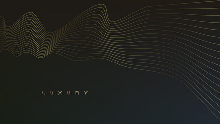 abstract luxury background with golden wave lines vector image