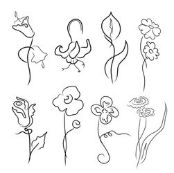 flowers design set vector image