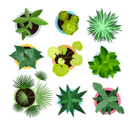 set of different house plants vector image