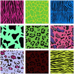 pak seamless patterns animal skin in style vector image