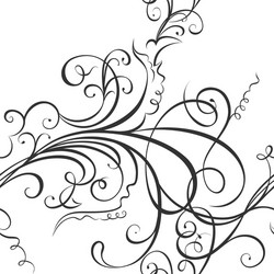 swirling floral ornament vector image