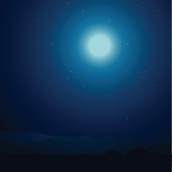 night vector