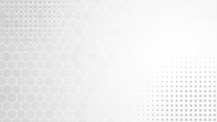 Abstract gray white background hexagon grid vector