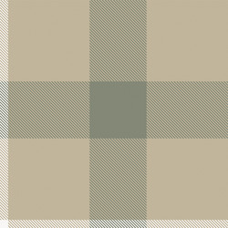 brown minimal plaid textured seamless pattern vector image