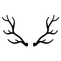 horn of deer or elk hunting trophy vector image