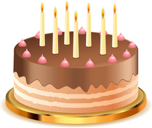 chocolate cake with candles2 vector image