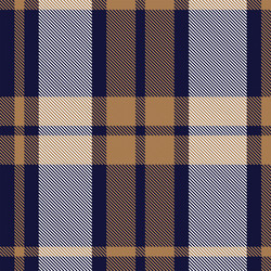 brown minimal plaid textured seamless pattern vector image