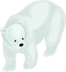 white bear icon cartoon style vector image